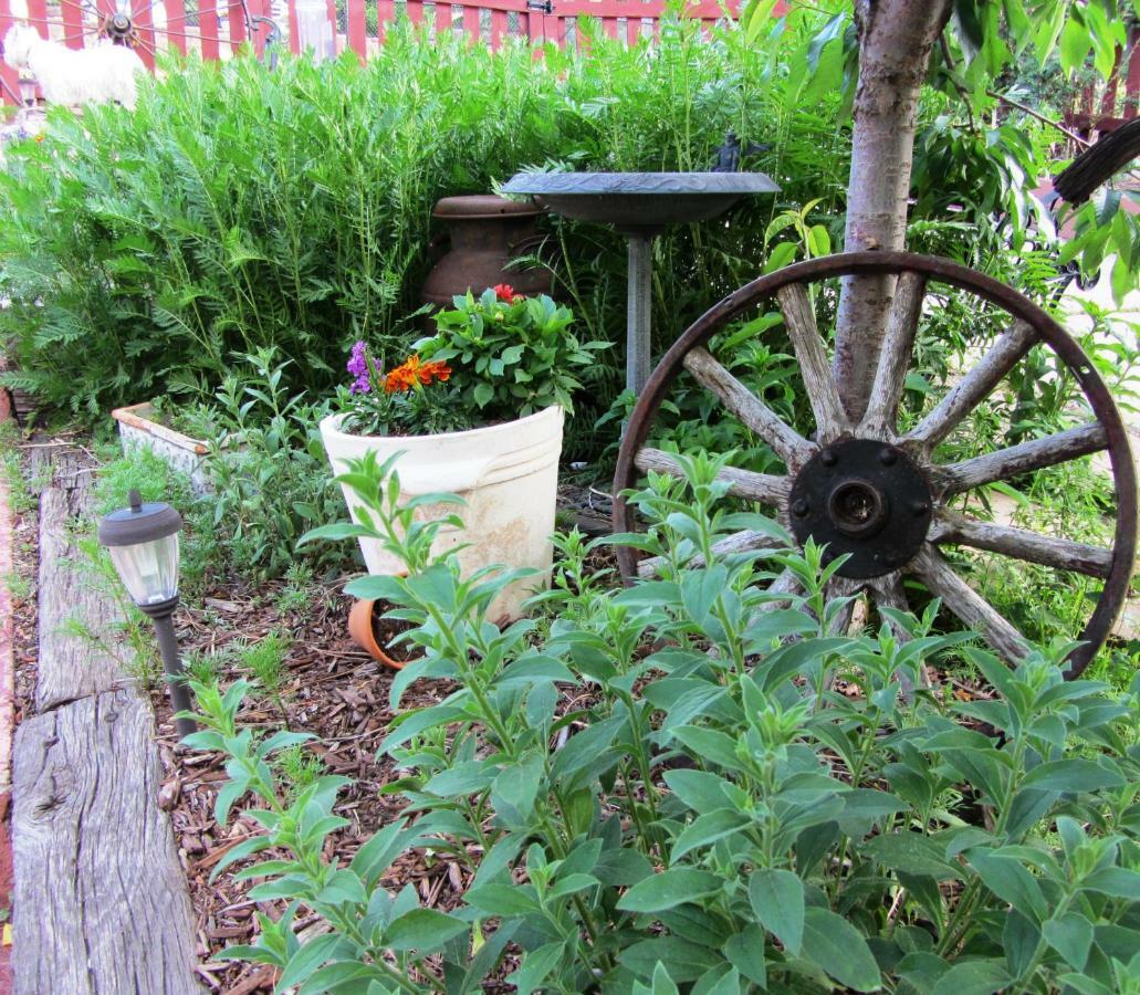 Avenue Hotel Bed And Breakfast Manitou Springs Buitenkant foto